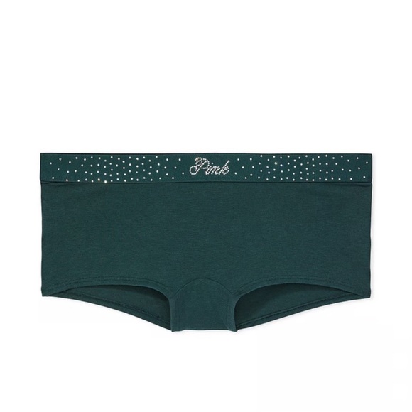 Victoria Secret Pink Stretch Cotton High-Leg Brief Panty - Picture 1 of 3